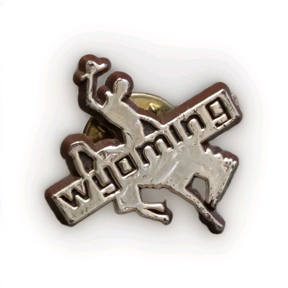 VTG Plastic Wyoming Rodeo Cowboy Bronco Lapel Hat Pin Pinback Tie Tac Brown